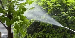 Fumigación control de plagas Fumigar y erradicar plagas