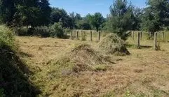 desbroces y limpiezas en Madrid de terrenos y parcelas desbrozar  fincas y parcelas en Madrid
