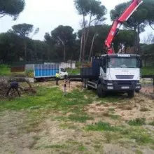 Tala y poda en altura en Fresno de Torote Madrid Podadores y taladores de árboles en Fresno de Torote Madrid