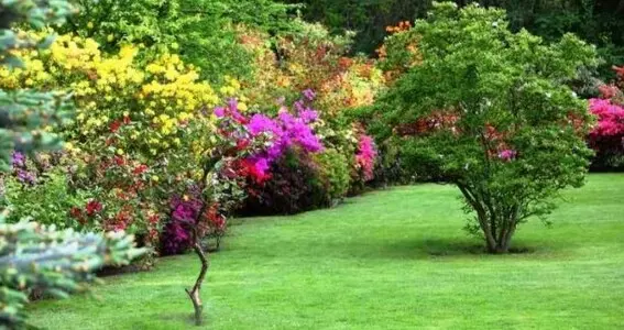 Empresa de jardinería  mantenimientos jardinería  mantenimientos